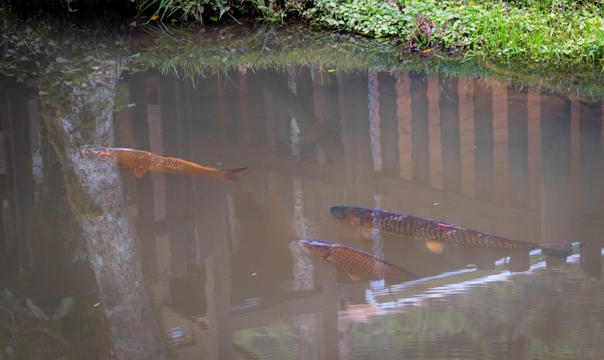 Pousada Caminhos Da Natureza Urubici Bagian luar foto